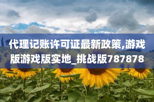 代理记账许可证最新政策,游戏版游戏版实地_挑战版787878