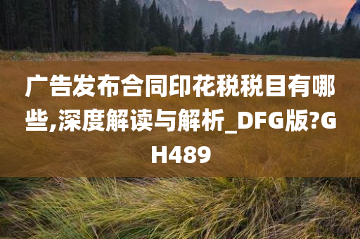 广告发布合同印花税税目有哪些,深度解读与解析_DFG版?GH489