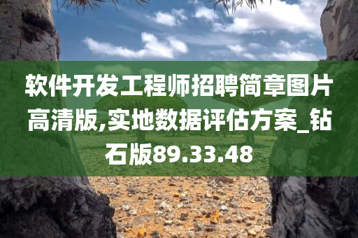 软件开发工程师招聘简章图片高清版,实地数据评估方案_钻石版89.33.48