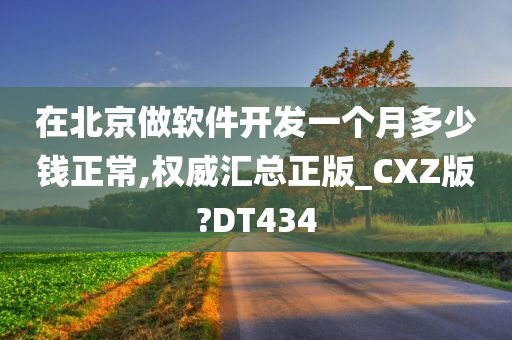 在北京做软件开发一个月多少钱正常,权威汇总正版_CXZ版?DT434