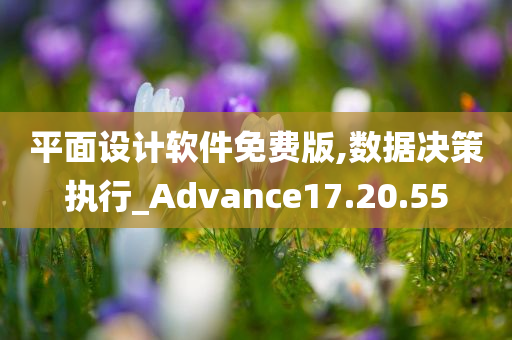 平面设计软件免费版,数据决策执行_Advance17.20.55