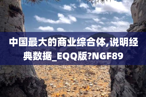 中国最大的商业综合体,说明经典数据_EQQ版?NGF89