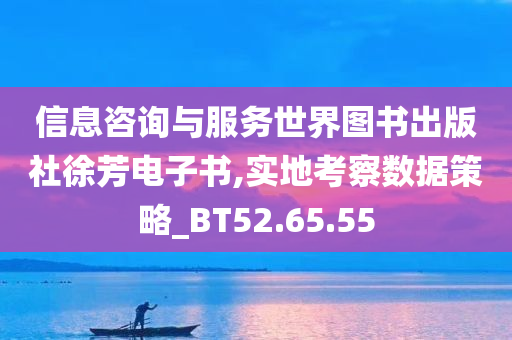 信息咨询与服务世界图书出版社徐芳电子书,实地考察数据策略_BT52.65.55