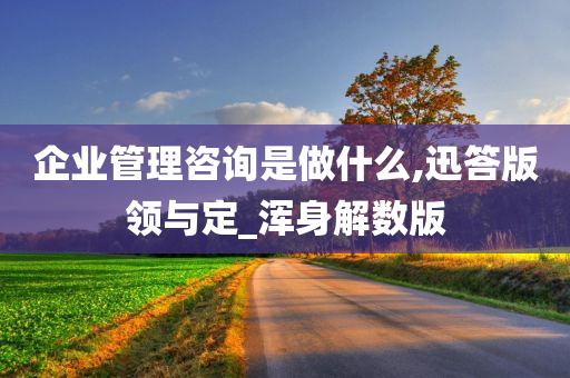 企业管理咨询是做什么,迅答版领与定_浑身解数版