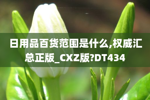 日用品百货范围是什么,权威汇总正版_CXZ版?DT434