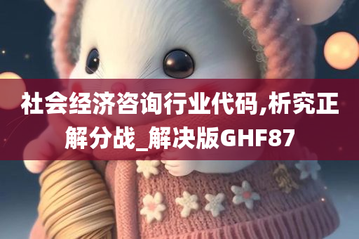 社会经济咨询行业代码,析究正解分战_解决版GHF87