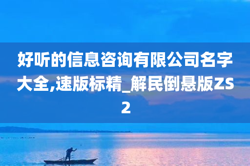 好听的信息咨询有限公司名字大全,速版标精_解民倒悬版ZS2