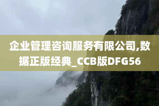 企业管理咨询服务有限公司,数据正版经典_CCB版DFG56