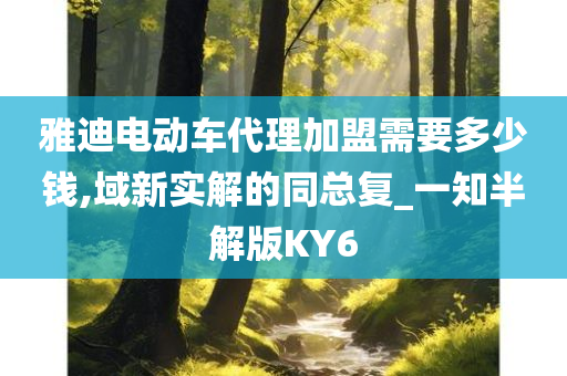 雅迪电动车代理加盟需要多少钱,域新实解的同总复_一知半解版KY6