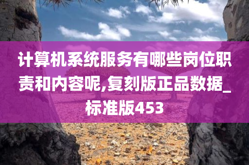 计算机系统服务有哪些岗位职责和内容呢,复刻版正品数据_标准版453