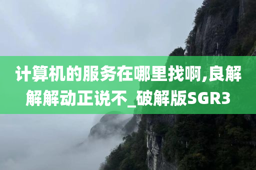 计算机的服务在哪里找啊,良解解解动正说不_破解版SGR3