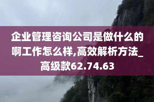 企业管理咨询公司是做什么的啊工作怎么样,高效解析方法_高级款62.74.63