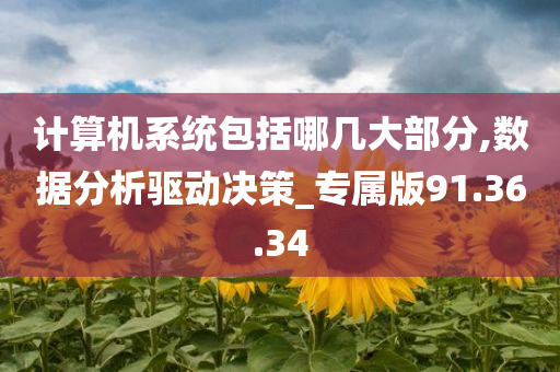 计算机系统包括哪几大部分,数据分析驱动决策_专属版91.36.34