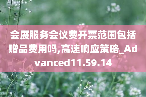 会展服务会议费开票范围包括赠品费用吗,高速响应策略_Advanced11.59.14