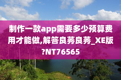 制作一款app需要多少预算费用才能做,解答良莠良莠_XE版?NT76565