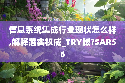 信息系统集成行业现状怎么样,解释落实权威_TRY版?SAR56