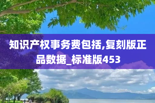 知识产权事务费包括,复刻版正品数据_标准版453