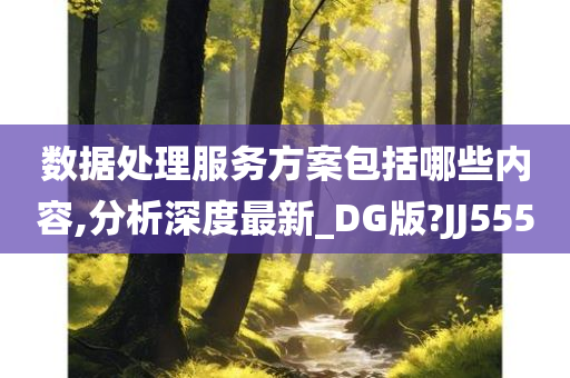 数据处理服务方案包括哪些内容,分析深度最新_DG版?JJ555