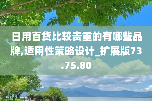 日用百货比较贵重的有哪些品牌,适用性策略设计_扩展版73.75.80