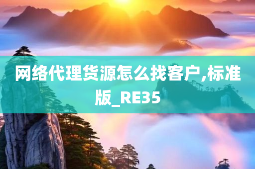 网络代理货源怎么找客户,标准版_RE35