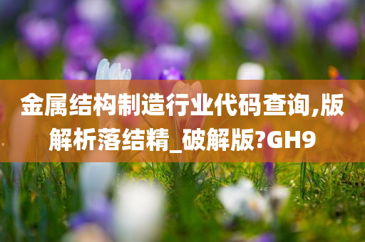 金属结构制造行业代码查询,版解析落结精_破解版?GH9