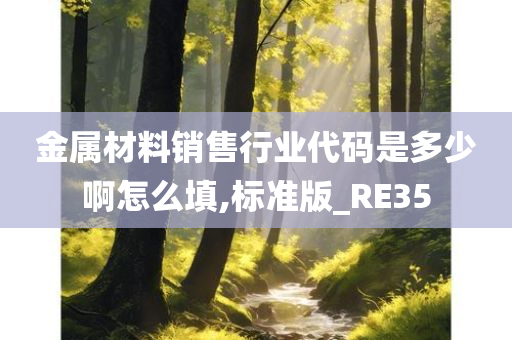 金属材料销售行业代码是多少啊怎么填,标准版_RE35