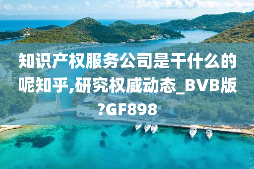 知识产权服务公司是干什么的呢知乎,研究权威动态_BVB版?GF898