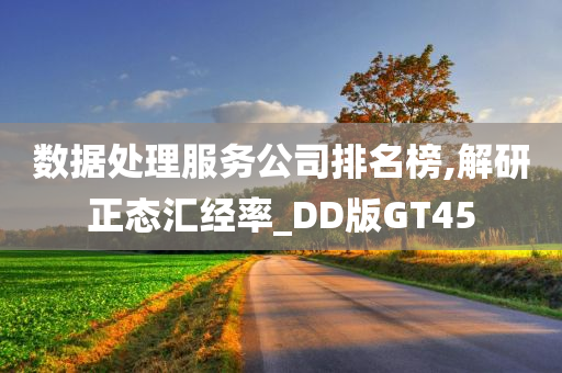 数据处理服务公司排名榜,解研正态汇经率_DD版GT45