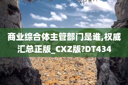 商业综合体主管部门是谁,权威汇总正版_CXZ版?DT434