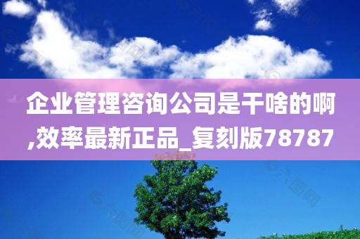 企业管理咨询公司是干啥的啊,效率最新正品_复刻版78787