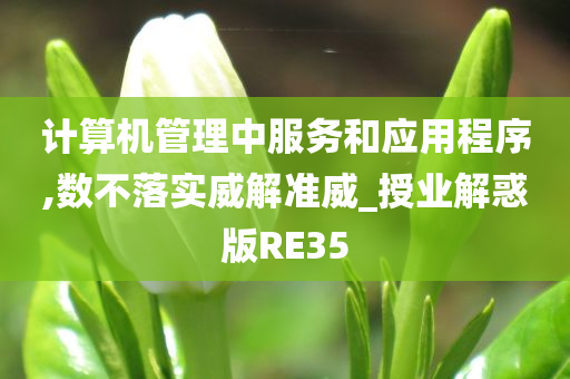 计算机管理中服务和应用程序,数不落实威解准威_授业解惑版RE35