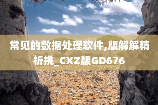 常见的数据处理软件,版解解精析挑_CXZ版GD676