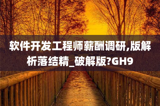 软件开发工程师薪酬调研,版解析落结精_破解版?GH9