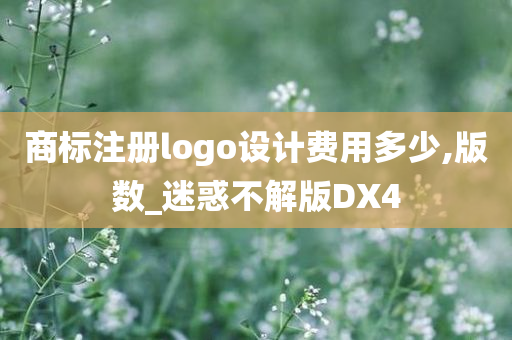 商标注册logo设计费用多少,版数_迷惑不解版DX4