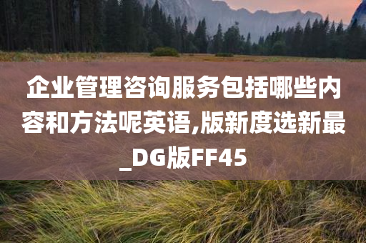 企业管理咨询服务包括哪些内容和方法呢英语,版新度选新最_DG版FF45