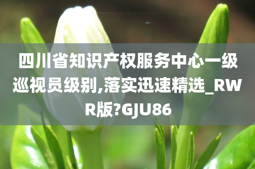 四川省知识产权服务中心一级巡视员级别,落实迅速精选_RWR版?GJU86