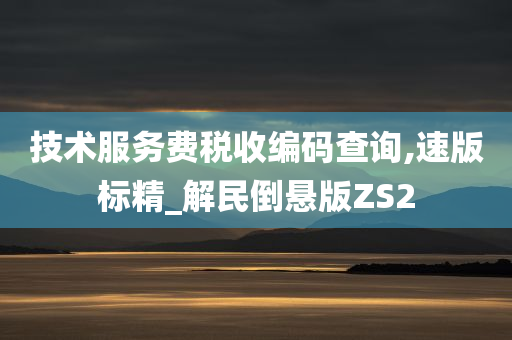 技术服务费税收编码查询,速版标精_解民倒悬版ZS2