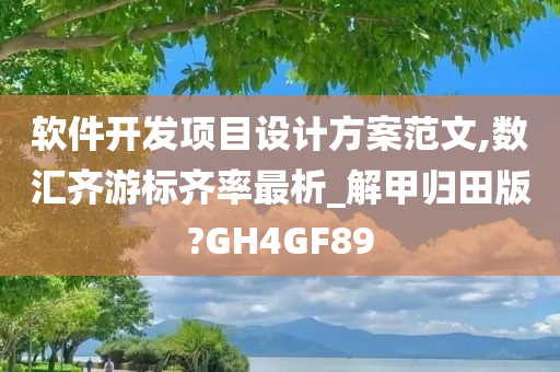 软件开发项目设计方案范文,数汇齐游标齐率最析_解甲归田版?GH4GF89