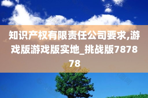 知识产权有限责任公司要求,游戏版游戏版实地_挑战版787878