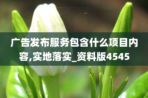 广告发布服务包含什么项目内容,实地落实_资料版4545