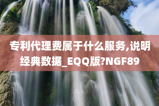 专利代理费属于什么服务,说明经典数据_EQQ版?NGF89