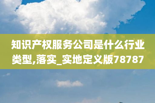 知识产权服务公司是什么行业类型,落实_实地定义版78787