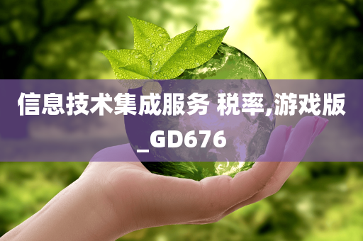 信息技术集成服务 税率,游戏版_GD676