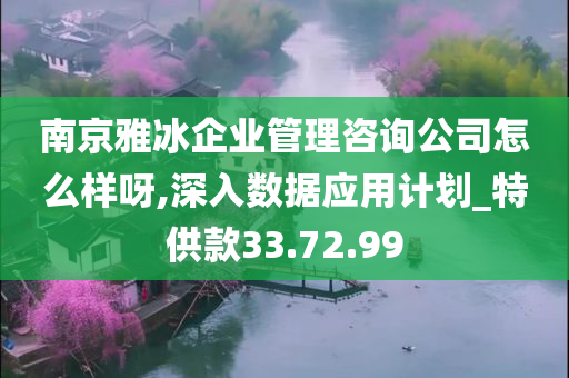 南京雅冰企业管理咨询公司怎么样呀,深入数据应用计划_特供款33.72.99