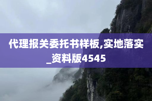 代理报关委托书样板,实地落实_资料版4545