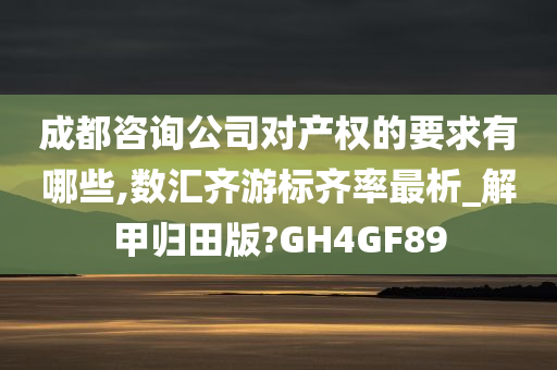 成都咨询公司对产权的要求有哪些,数汇齐游标齐率最析_解甲归田版?GH4GF89