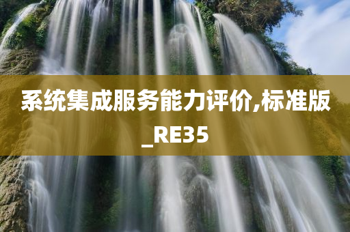 系统集成服务能力评价,标准版_RE35