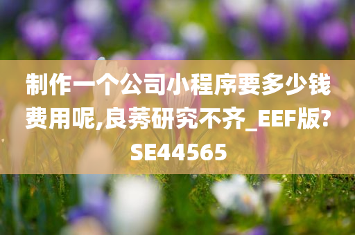 制作一个公司小程序要多少钱费用呢,良莠研究不齐_EEF版?SE44565