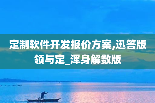 定制软件开发报价方案,迅答版领与定_浑身解数版