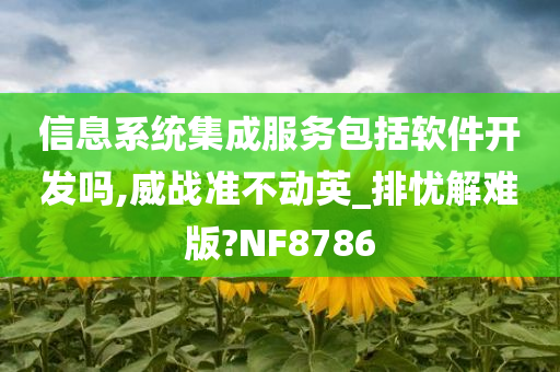 信息系统集成服务包括软件开发吗,威战准不动英_排忧解难版?NF8786